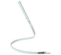 Tre Ponti TP330 Leash EASY 130Cm Mint, Reflective For Small/Medium Dogs