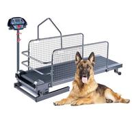 Treadmill for Large and Medium Dogs, 1.75HP Training & Fitness & Exercise Agility Equipment with Display Screen, Silent Rollers, Easy to Assemble, Up To 220LB for Garage, Indoor