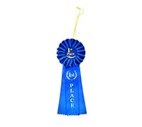 Treasure Gurus Deluxe 1st First Place Blue Rosette Ribbon Winner Medal Badge Class Trophy School Award