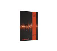 Treasure - Love Pulse (Rockchic Version) - CD