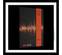 TREASURE - (ROCKCHIC Ver.) TREASURE LOVE PULSE / CD-R+Photo Book+Band+Poster+13 Card+Holder