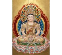 Treasury of the True Dharma Eye: Master Dahui Zonggao's Classic Collection of Zen Koans and Commentaries