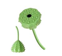 Treat Dispensing Ball Funny Plant Design Reusable Portable Small Medium