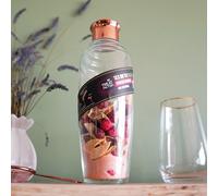 Treat Factory Sex on the Beach Cocktail Infusion Shaker