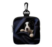 Treat Pouches For Pet Training - Portable Puppy Snack Container, Lightweight Polyester Dog Treat Bag | For Walking, Camping & Road Trips, 5.51x5.12 Inch Training Pouch For Reward-Based Learning