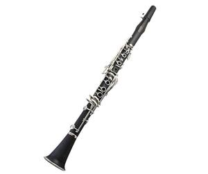 Treble Clarinet B Flat Beginner Exam Clarinet Woodwind Instrument Clarinet Set(19J)