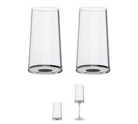 Trebonn SplitGlass (Black, Flute, Set of 2)