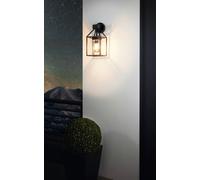 Trecate Modern Lantern Style Black Clear Outdoor Wall Light EGLO Black One Size