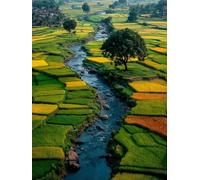 Tree 5D DIY Diamond Art, Diamond Painting Kits for Adults Field, 5D Full Drill Crystal Gem Kits for Beginners, Crystal Art Crafts Pictures for Adults, House Decor, Gifts, Room Decor, 60x90cm 8-8131