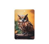 Tree Branch Brown Owl Pattern Car Air Fresheners 6 Pcs Rectangle Hanging Aromatherapy Tablets Scented Fresheners For Bedroom Bathroom