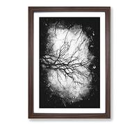 Tree Branches in Central Park New York Paint Splash Framed Print | A2 Walnut Framed Wall Art | Ready to Hang | Modern Floral Picture | Living Room Bedroom Lounge Office