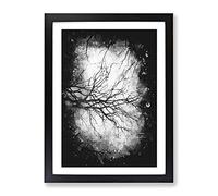 Tree Branches In Central Park New York Paint Splash Modern Framed Print | A3 Black Framed Wall Art | Ready to Hang | Modern Floral Picture | Living Room Bedroom Lounge Office