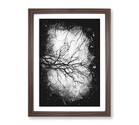 Tree Branches In Central Park New York Paint Splash Modern Framed Print | A3 Walnut Framed Wall Art | Ready to Hang | Modern Floral Picture | Living Room Bedroom Lounge Office