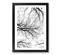 Tree Branches in Central Park New York Painting Framed Print | A2 Black Framed Wall Art | Ready to Hang | Modern Floral Picture | Living Room Bedroom Lounge Office