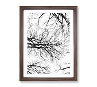 Tree Branches In Central Park New York Painting Modern Framed Print | A2 Walnut Framed Wall Art | Ready to Hang | Modern Floral Picture | Living Room Bedroom Lounge Office