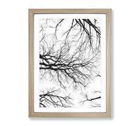 Tree Branches In Central Park New York Painting Modern Framed Print | A3 Oak Framed Wall Art | Ready to Hang | Modern Floral Picture | Living Room Bedroom Lounge Office