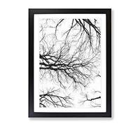 Tree Branches In Central Park New York Painting Modern Framed Print | A4 Black Framed Wall Art | Ready to Hang | Modern Floral Picture | Living Room Bedroom Lounge Office