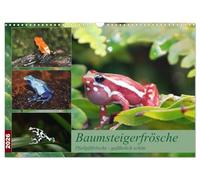 Tree climbing frogs. Poison dart frogs - dangerously beautiful UK-Version (Wall Calendar 2026 DIN A3 Landscape), CALVENDO 12 Month Wall Calendar
