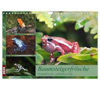 Tree climbing frogs. Poison dart frogs - dangerously beautiful UK-Version (Wall Calendar 2026 DIN A4 Landscape), CALVENDO 12 Month Wall Calendar