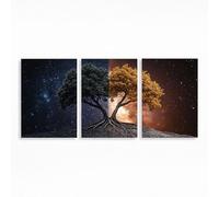 Tree Diamond Art Kits Adults Beginner 12x8 Inch 3 Pack, Starry Sky Diamond Painting, 5D DIY Full Drill Paint by Numbers, Wall Art Gems Paintings for Bedroom Office Room Decor Gifts for Women PZSH-4229