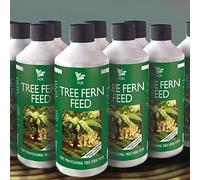 Tree Fern Feed For Improved Growth of Ferns Weekly Use For Containers and Borders Easy to Use 1 x Pack of 500ml by Thompson and Morgan