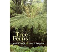 Tree Ferns