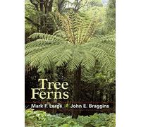 Tree Ferns