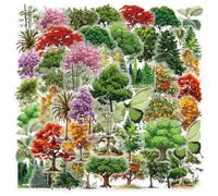 Tree Forest Stickers, 50 Pack Transparent PET Stickers, Waterproof Nature Decals for Scrapbook, Journal, Laptop