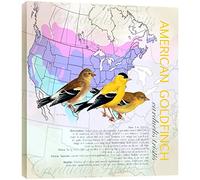 Tree Free American Goldfinch Eco Art Plaque, Metal, Multi-Colour