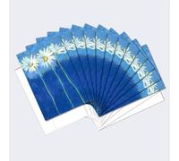 Tree-Free Greetings 66585 12-Count Daisies On Blue Notecard Set