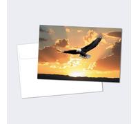 Tree-Free Greetings EcoNotes Stationary- Blank Note Cards with Envelopes, 4" x 6", Bald Eagle Soaring, USA Themed, Boxed Set of 12 (FS56115)