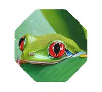 (Tree Frog Baby) Leather Coaster Set Of 6 Premium Octagon Drink Coasters For Home Office Restaurant Bar