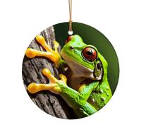 Tree Frog Baby Print Christmas Ceramic Crafts Orenament for Christmas Winter New Year Party Hanging Decorations