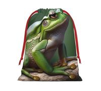 Tree Frog Super Soft Velvet Gift Bag with Drawstring Pouch, Full Printed Holiday Storage Bag for Christmas & Daily Storage