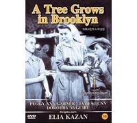 Tree Grows In Brooklyn (1945) / (Ntsc Asia) [DVD] [Region 1] [NTSC] [US Import]