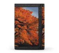 Tree in The Fall Wallet Men's Trifold Wallet Extra Capacity Credit Card Holder Cards Purse Front Pocket