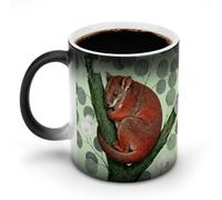 Tree Kangaroo in Eucalyptus Color Changing Mug Heat Changing Coffee Mugs Funny Heat Activated Mug Ceramic Magic Cup Novelty Coffee Mugs 12 Oz Unique Tea Cup Birthday Gift for Women Men