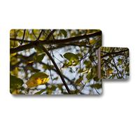 tree leaves in the sunshine nature photography leaves and branches placemat coaster set Benjamin Tate Design Natural One Size