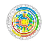 TREE MAISON CORONATING HOMES Vastu Shakti Chakra | 7 Inch | Featuring 45 Devtas, 16 Attributes, Health Chart, for vaastu Shashtra Remedy (Acrylic)