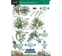 Tree name trail: A Key to Common Trees: No. 510 (WildID)