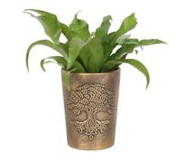 Tree of Life Bronze Terracotta Plant Pot by Lisa Parker
