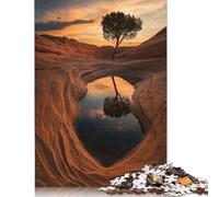Tree Reflection in Desert Pool 520 Piece Puzzle Interesting Stress Reduction Best Puzzles for Kids Age 12 Years Up 520pcs (52x38cm)