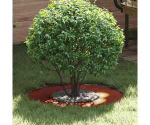 Tree Ring Brown Weathering Steel 60x60cm Flat Decorative Garden Tree Rustic Edge