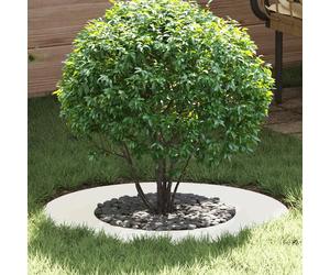 Tree Ring White Steel 70x70cm Modern Decorative Garden Base Protector Root Guard