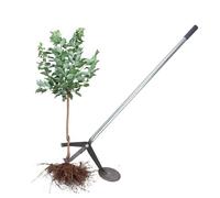 Tree Shrub Sapling Puller Tool Effortless, 103 148 cm Long Tubular Steel Handled Uprooting Weeder, Woody Stems Remover with Serrated Head(L-103cm(40.6in))