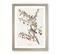 Tree Sparrows By John James Audubon Vintage Framed Wall Art Print, Ready to Hang Picture for Living Room Bedroom Home Office Décor, Oak A2 (64 x 46 cm)
