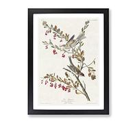 Tree Sparrows By John James Audubon Vintage Framed Wall Art Print, Ready to Hang Picture for Living Room Bedroom Home Office Décor, Black A4 (34 x 25 cm)