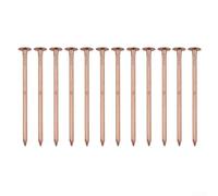 Tree Stump Removal Copper Nails with Root Targeting Technology, 4 Inch Copper Nails for Effective and Controlled Stump For Killing, 12 Pieces Per Pack
