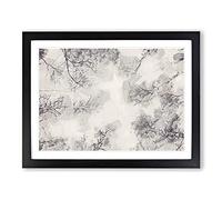 Tree Tops In Winter In Abstract Modern Art Framed Print | A2 Black Framed Wall Art | Ready to Hang | Abstract Floral Picture | Living Room Bedroom Lounge Office