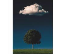 Tree Under the Clouds Composition Notebook: Peaceful Nature Landscape Journal with 100 Blank Unruled Pages for Writing, Sketching, Doodling, and Creative Ideas